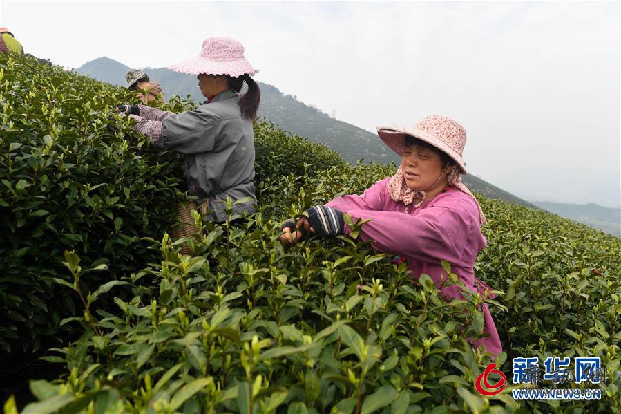 （新华全媒头条·图文互动）（17）习近平的扶贫故事