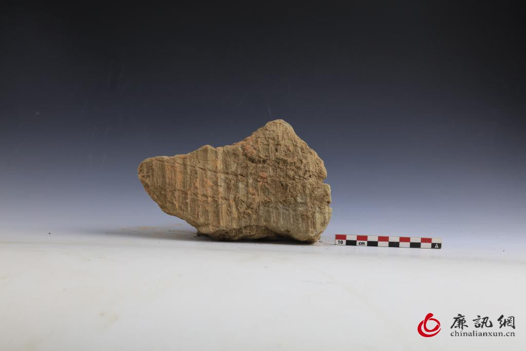 河南安阳发现距今约7800年聚落遗址